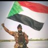 Alwahid mohamed 的头像