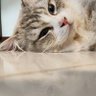可怕的鱼 profil fotoğrafı