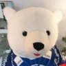 Eisbär's profile picture