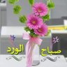 Profilbild von Tanveer Shahid