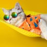 Your Daily Dose Of Cats ๐'s profile picture