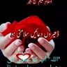 Profilbild von Abuzar Tanoli