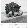 Profilbild von حسين علي عبدالله سالم منصر