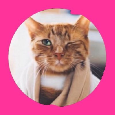 shamrocker_oo_'s profile picture