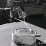 the dust cat's profile picture