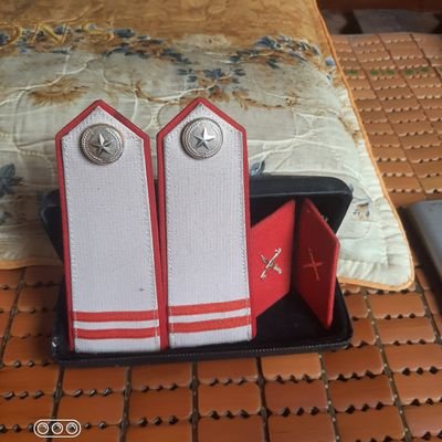 Trương Lê Thái Ngọc's profile picture
