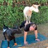 One Accord Fitness's profile picture