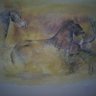 havelszky@gmail.com 的头像