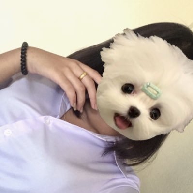 P's profile picture