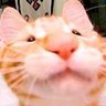 Profilbild von Mahmoud