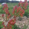 Фото профиля Tegoamaru
