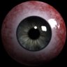 Profilbild von Andre Esters