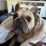 lucas's profile picture