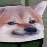 Profilbild von Matthew