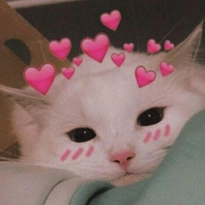 youngm1ko's profile picture