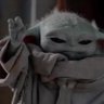 Profilbild von Jack Reynolds