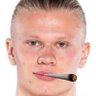 Erling blant Haaland(🦅)'s profile picture