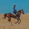 Фото профиля عبدالرحمن علي الحطاب