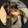 Profilbild von Swato
