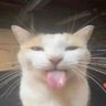 Scary's profile picture
