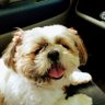 輝ける七つの海 profil fotoğrafı