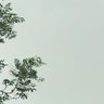 khan profil fotoğrafı