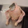 нейросельдь's profile picture