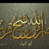 Фото профиля Pakistan Lover