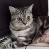 CP profil fotoğrafı