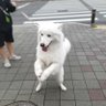 조이(チャンミンギュ) 的头像
