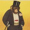 Profilbild von Sreggin the Monke