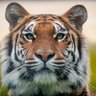 rakib profil fotoğrafı