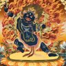 粘豆包 profil fotoğrafı