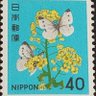 紋白蝶 profil fotoğrafı