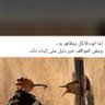 Фото профиля najran