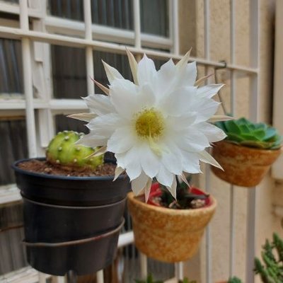 Helderberga21's profile picture