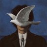 Ameer Zayer's profile picture