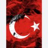 Alp Eren Ler's profile picture