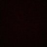 Nuchi profil fotoğrafı