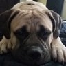 JQPublic's profile picture