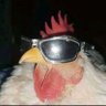 !𝗟𝗼𝘀𝘁 🇧🇷's profile picture