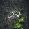 Profilbild von ابو خالد