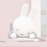 桃瀬 えびび's profile picture