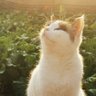 聚财猫 profil fotoğrafı