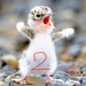 ゆきえ 2 profil fotoğrafı
