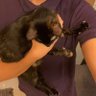 jermmmm's profile picture
