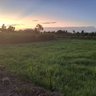 Фото профиля ชีวิตเกิดมาหนึ่งหนอย่าทำตัวเป็นคนไร้ค่า