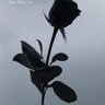 Фото профиля stans_99