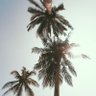 SATHISH M's profile picture