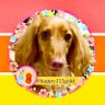 ハッピー's profile picture